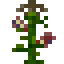 Wild Crops